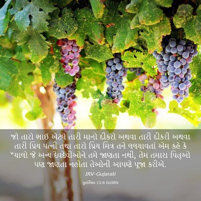 Picture 03 - પુનર્નિયમ 13:6 GUJIRV - જો તારો ભાઈ એટલે - Bible Verse Picture