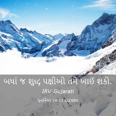 Picture 03 - પુનર્નિયમ 14:11 GUJIRV - બધાં જ શુદ્ધ - Bible Verse Picture