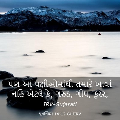 Picture 03 - પુનર્નિયમ 14:12 GUJIRV - પણ આ પક્ષીઓમાંથી - Bible Verse Picture