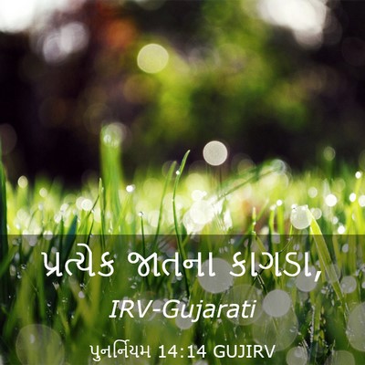 Picture 03 - પુનર્નિયમ 14:14 GUJIRV - પ્રત્યેક જાતના - Bible Verse Picture