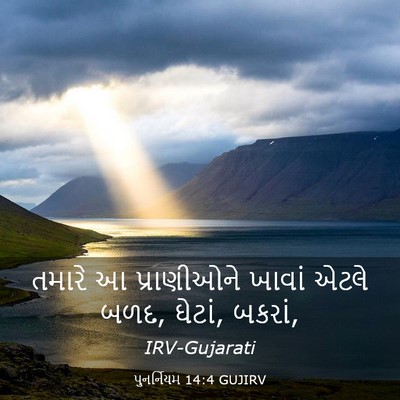Picture 03 - પુનર્નિયમ 14:4 GUJIRV - તમારે આ પ્રાણીઓને - Bible Verse Picture