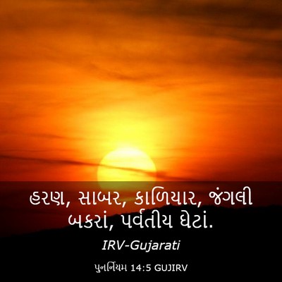 Picture 03 - પુનર્નિયમ 14:5 GUJIRV - હરણ, સાબર, કાળિયાર, - Bible Verse Picture