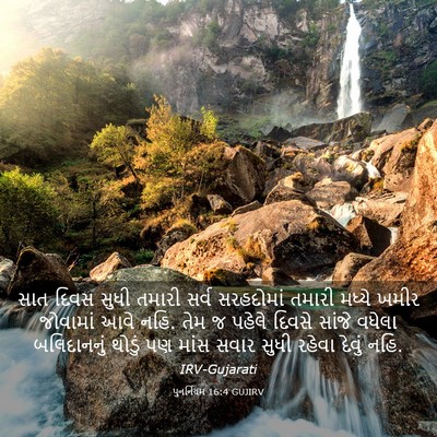Picture 03 - પુનર્નિયમ 16:4 GUJIRV - સાત દિવસ સુધી - Bible Verse Picture