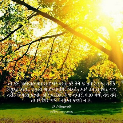Picture 03 - પુનર્નિયમ 17:15 GUJIRV - તો જેને યહોવાહ - Bible Verse Picture
