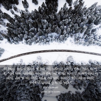 Picture 03 - પુનર્નિયમ 18:16 GUJIRV - હોરેબમાં સભાને - Bible Verse Picture