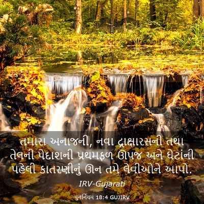 Picture 03 - પુનર્નિયમ 18:4 GUJIRV - તમારા અનાજની, નવા - Bible Verse Picture
