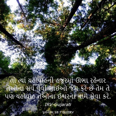 Picture 03 - પુનર્નિયમ 18:7 GUJIRV - તો ત્યાં યહોવાહની - Bible Verse Picture
