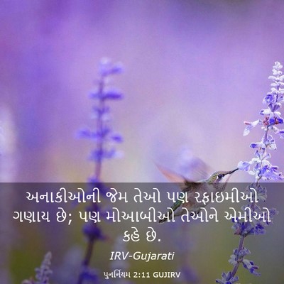 Picture 03 - પુનર્નિયમ 2:11 GUJIRV - અનાકીઓની જેમ તેઓ - Bible Verse Picture