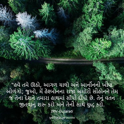 Picture 03 - પુનર્નિયમ 2:24 GUJIRV - “હવે તમે ઊઠો, આગળ - Bible Verse Picture
