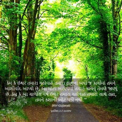 Picture 03 - પુનર્નિયમ 2:7 GUJIRV - કેમ કે ઈશ્વર તમારા - Bible Verse Picture