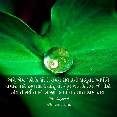 Picture 03 - પુનર્નિયમ 20:11 GUJIRV - અને એમ થશે કે જો તે - Bible Verse Picture
