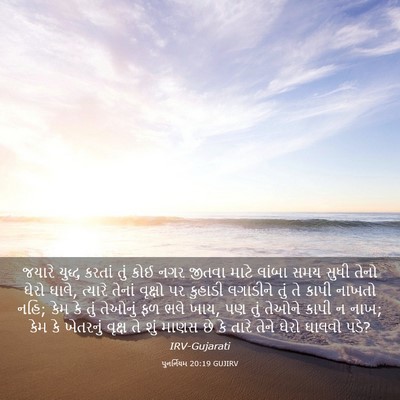 Picture 03 - પુનર્નિયમ 20:19 GUJIRV - જયારે યુદ્ધ કરતાં - Bible Verse Picture