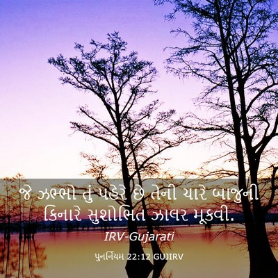 Picture 03 - પુનર્નિયમ 22:12 GUJIRV - જે ઝભ્ભો તું પહેરે - Bible Verse Picture