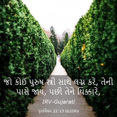 Picture 03 - પુનર્નિયમ 22:13 GUJIRV - જો કોઈ પુરુષ - Bible Verse Picture