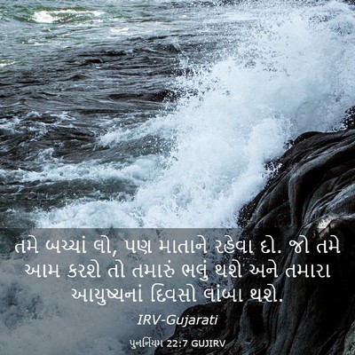 Picture 03 - પુનર્નિયમ 22:7 GUJIRV - તમે બચ્ચાં લો, પણ - Bible Verse Picture