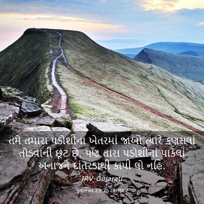 Picture 03 - પુનર્નિયમ 23:25 GUJIRV - તમે તમારા પડોશીના - Bible Verse Picture