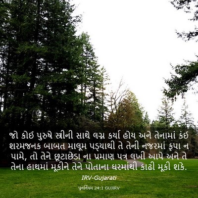 Picture 03 - પુનર્નિયમ 24:1 GUJIRV - જો કોઈ પુરુષે - Bible Verse Picture