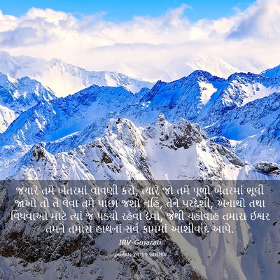Picture 03 - પુનર્નિયમ 24:19 GUJIRV - જયારે તમે ખેતરમાં - Bible Verse Picture