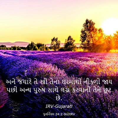 Picture 03 - પુનર્નિયમ 24:2 GUJIRV - અને જયારે તે - Bible Verse Picture