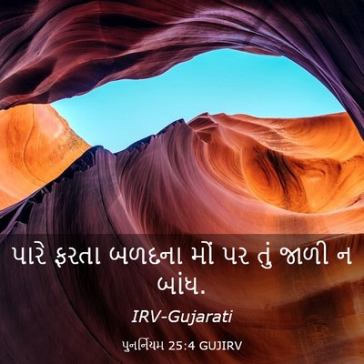 Picture 03 - પુનર્નિયમ 25:4 GUJIRV - પારે ફરતા બળદના - Bible Verse Picture