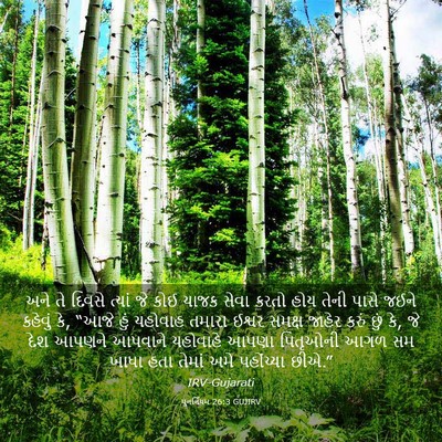 Picture 03 - પુનર્નિયમ 26:3 GUJIRV - અને તે દિવસે ત્યાં - Bible Verse Picture
