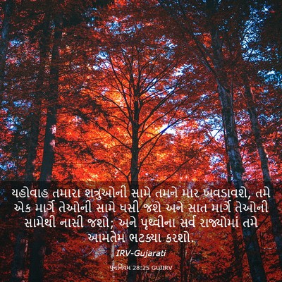 Picture 03 - પુનર્નિયમ 28:25 GUJIRV - યહોવાહ તમારા - Bible Verse Picture