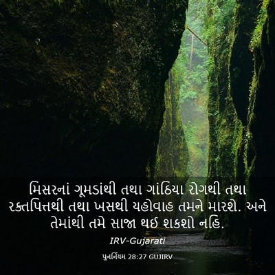 Picture 03 - પુનર્નિયમ 28:27 GUJIRV - મિસરનાં ગૂમડાંથી - Bible Verse Picture