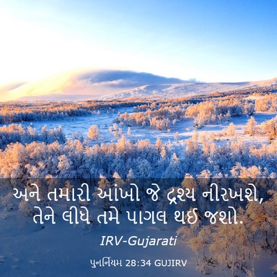 Picture 03 - પુનર્નિયમ 28:34 GUJIRV - અને તમારી આંખો જે - Bible Verse Picture