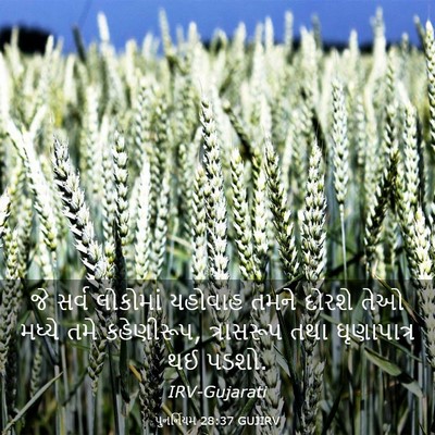Picture 03 - પુનર્નિયમ 28:37 GUJIRV - જે સર્વ લોકોમાં - Bible Verse Picture