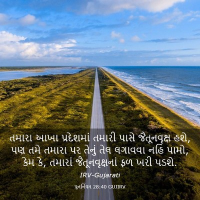 Picture 03 - પુનર્નિયમ 28:40 GUJIRV - તમારા આખા - Bible Verse Picture