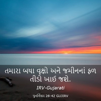 Picture 03 - પુનર્નિયમ 28:42 GUJIRV - તમારા બધા વૃક્ષો - Bible Verse Picture