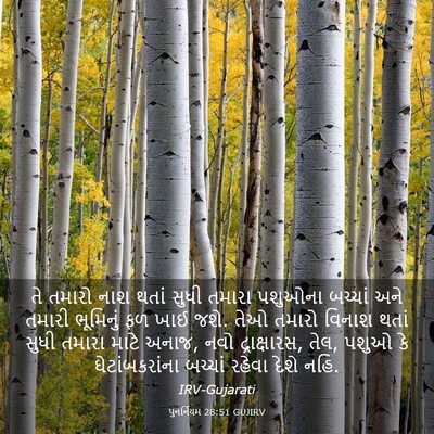 Picture 03 - પુનર્નિયમ 28:51 GUJIRV - તે તમારો નાશ થતાં - Bible Verse Picture