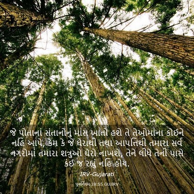 Picture 03 - પુનર્નિયમ 28:55 GUJIRV - જે પોતાનાં - Bible Verse Picture