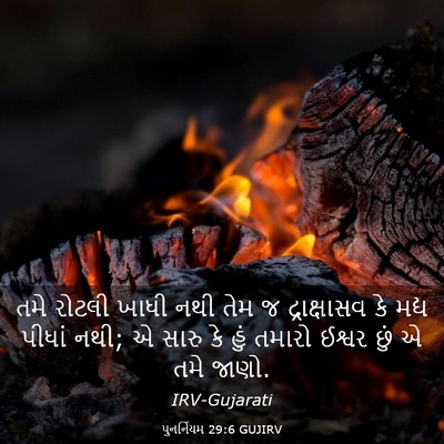 Picture 03 - પુનર્નિયમ 29:6 GUJIRV - તમે રોટલી ખાધી નથી - Bible Verse Picture