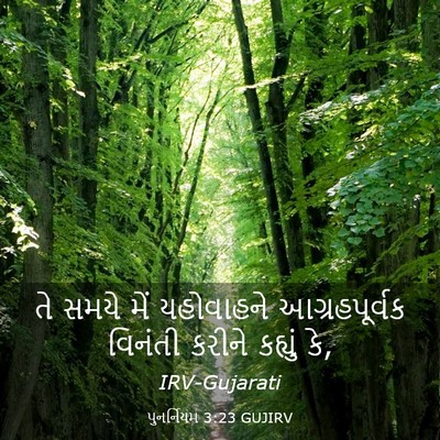 Picture 03 - પુનર્નિયમ 3:23 GUJIRV - તે સમયે મેં - Bible Verse Picture