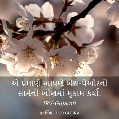 Picture 03 - પુનર્નિયમ 3:29 GUJIRV - એ પ્રમાણે આપણે - Bible Verse Picture
