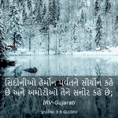 Picture 03 - પુનર્નિયમ 3:9 GUJIRV - સિદોનીઓ હેર્મોન - Bible Verse Picture