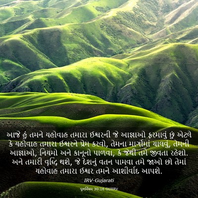 Picture 03 - પુનર્નિયમ 30:16 GUJIRV - આજે હું તમને - Bible Verse Picture