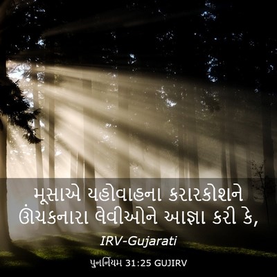 Picture 03 - પુનર્નિયમ 31:25 GUJIRV - મૂસાએ યહોવાહના - Bible Verse Picture
