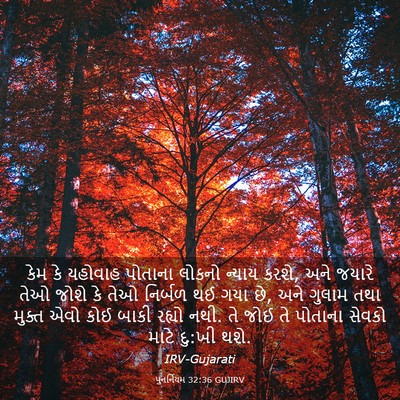 Picture 03 - પુનર્નિયમ 32:36 GUJIRV - કેમ કે યહોવાહ - Bible Verse Picture