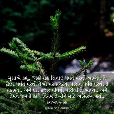Picture 03 - પુનર્નિયમ 33:2 GUJIRV - મૂસાએ કહ્યું, - Bible Verse Picture