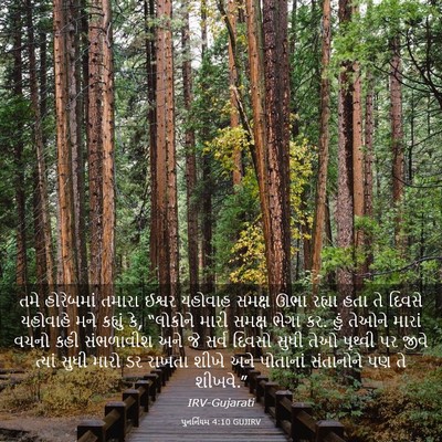 Picture 03 - પુનર્નિયમ 4:10 GUJIRV - તમે હોરેબમાં - Bible Verse Picture