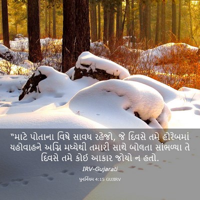 Picture 03 - પુનર્નિયમ 4:15 GUJIRV - “માટે પોતાના વિષે - Bible Verse Picture