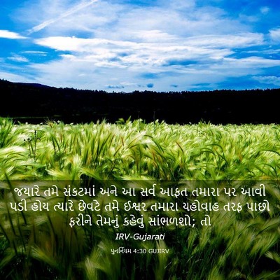 Picture 03 - પુનર્નિયમ 4:30 GUJIRV - જયારે તમે સંકટમાં - Bible Verse Picture