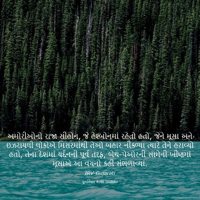 Picture 03 - પુનર્નિયમ 4:46 GUJIRV - અમોરીઓનો રાજા - Bible Verse Picture