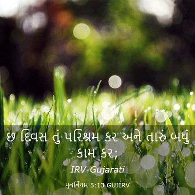 Picture 03 - પુનર્નિયમ 5:13 GUJIRV - છ દિવસ તું પરિશ્રમ - Bible Verse Picture