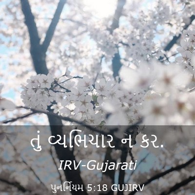 Picture 03 - પુનર્નિયમ 5:18 GUJIRV - તું વ્યભિચાર ન - Bible Verse Picture