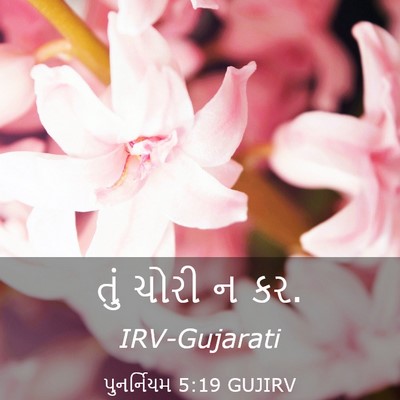 Picture 03 - પુનર્નિયમ 5:19 GUJIRV - તું ચોરી ન - Bible Verse Picture