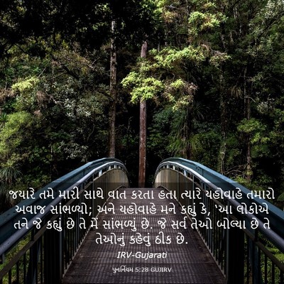 Picture 03 - પુનર્નિયમ 5:28 GUJIRV - જયારે તમે મારી - Bible Verse Picture