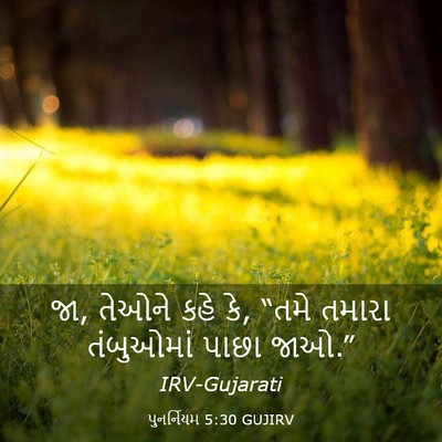 Picture 03 - પુનર્નિયમ 5:30 GUJIRV - જા, તેઓને કહે કે, - Bible Verse Picture